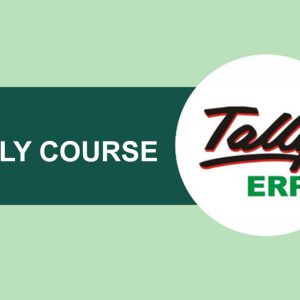 Tally-Training-In-Nepal